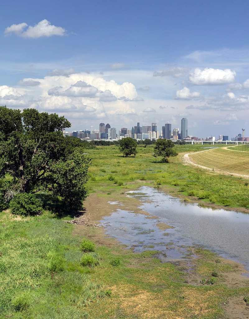Dallas